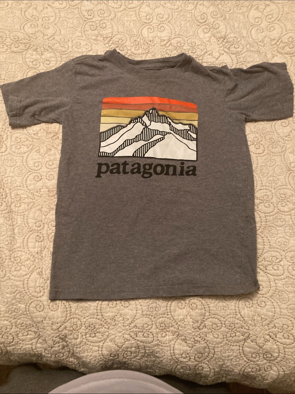 Patagonia tee